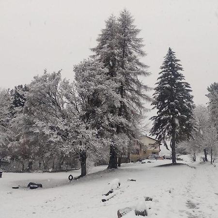 Posada Del Nireco Σαν Κάρλος ντε Μπαριλότσε Εξωτερικό φωτογραφία