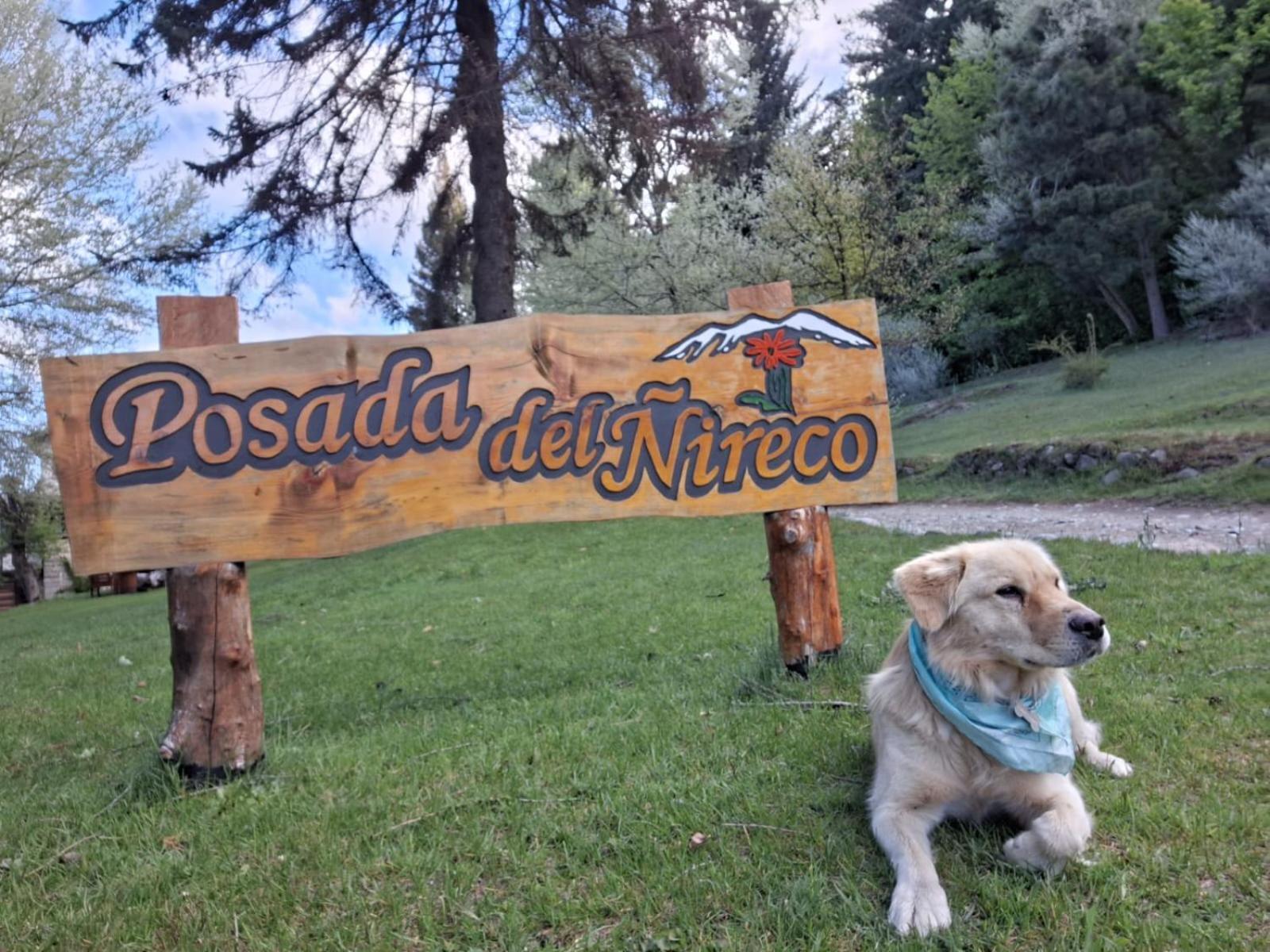 Posada Del Nireco Σαν Κάρλος ντε Μπαριλότσε Εξωτερικό φωτογραφία