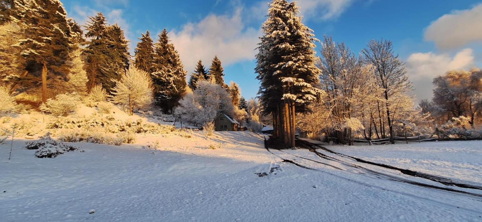 Posada Del Nireco Σαν Κάρλος ντε Μπαριλότσε Εξωτερικό φωτογραφία